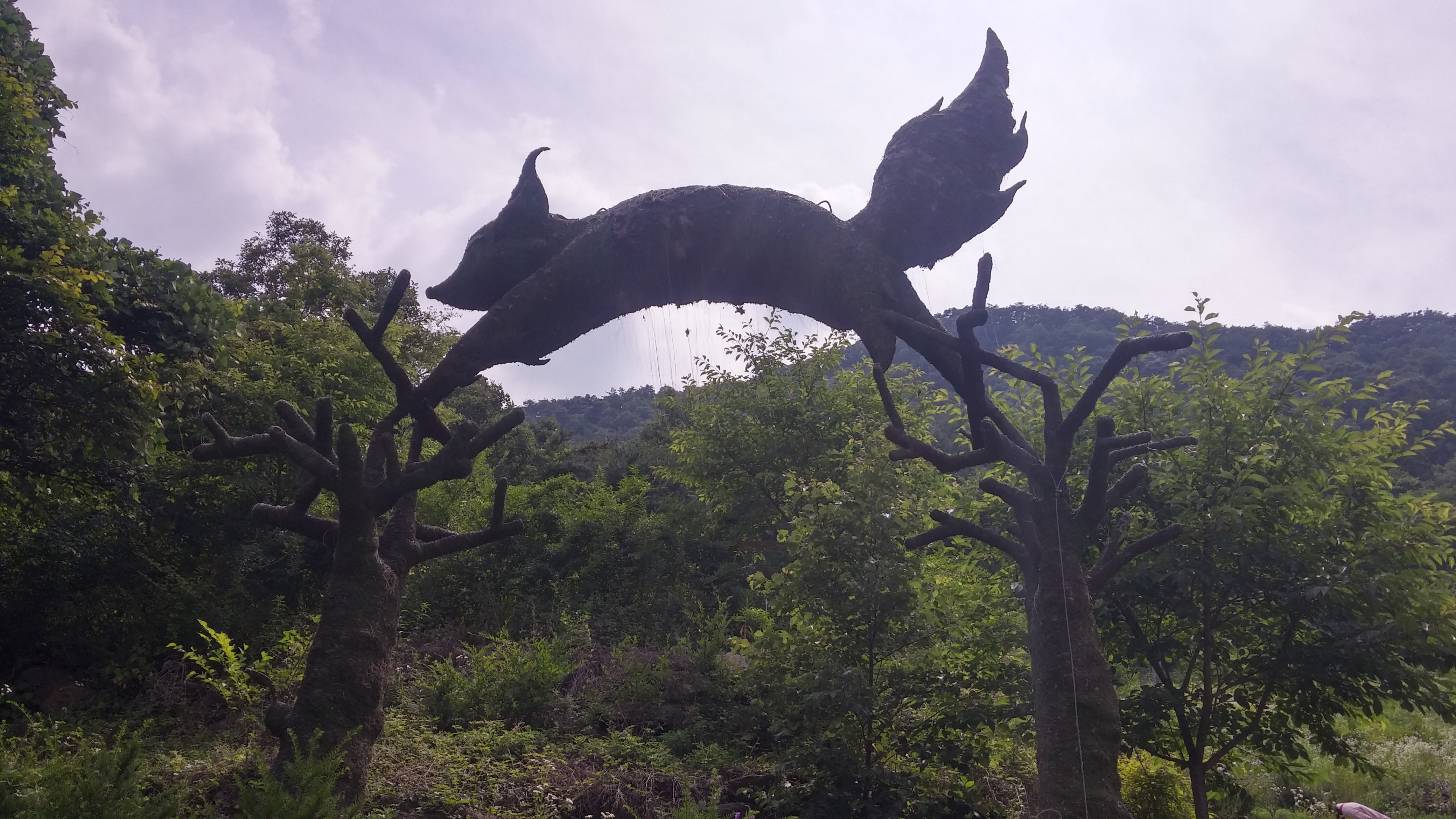 괴산 여우숲에서 '동박새'를 만나다